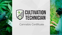 Load image into Gallery viewer, GF Institute Certificate Programs - Jushi
